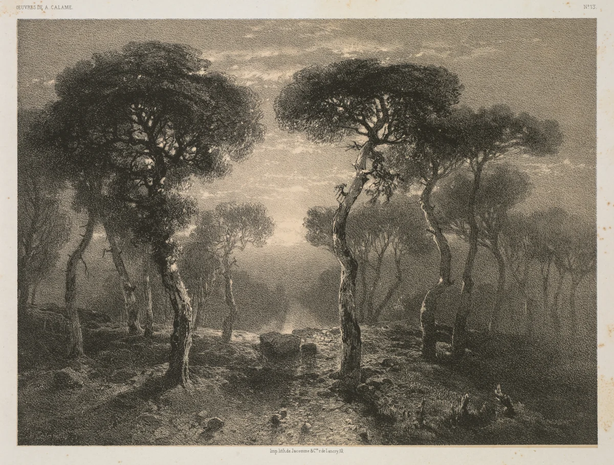 Oeuvres de A. Calame, No. 13: Forêt de Sierre en Valais by Jacomme & Cie., print, 1843-1851