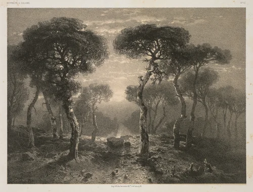 Oeuvres de A. Calame, No. 13: Forêt de Sierre en Valais by Jacomme & Cie., print, 1843-1851