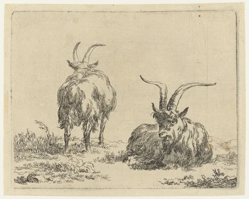 Staande en liggende geit of bok by Nicolaes Pietersz Berchem, print, 1648-1652