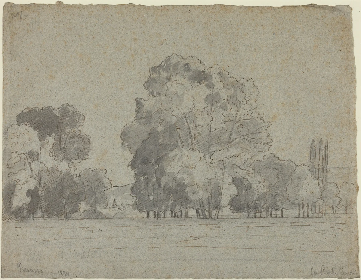 Grove of Trees by Camille Pissarro, drawing, 1859