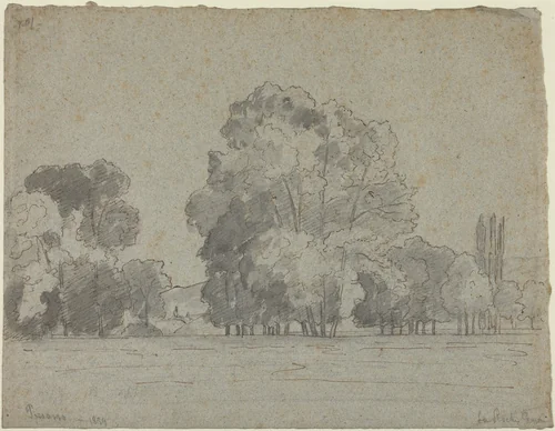 Grove of Trees by Camille Pissarro, drawing, 1859