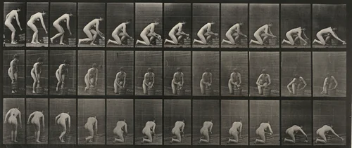 Plate Number 252. Kneeling on right knee and scrubbing the floor by Eadweard Muybridge, photograph, 1887