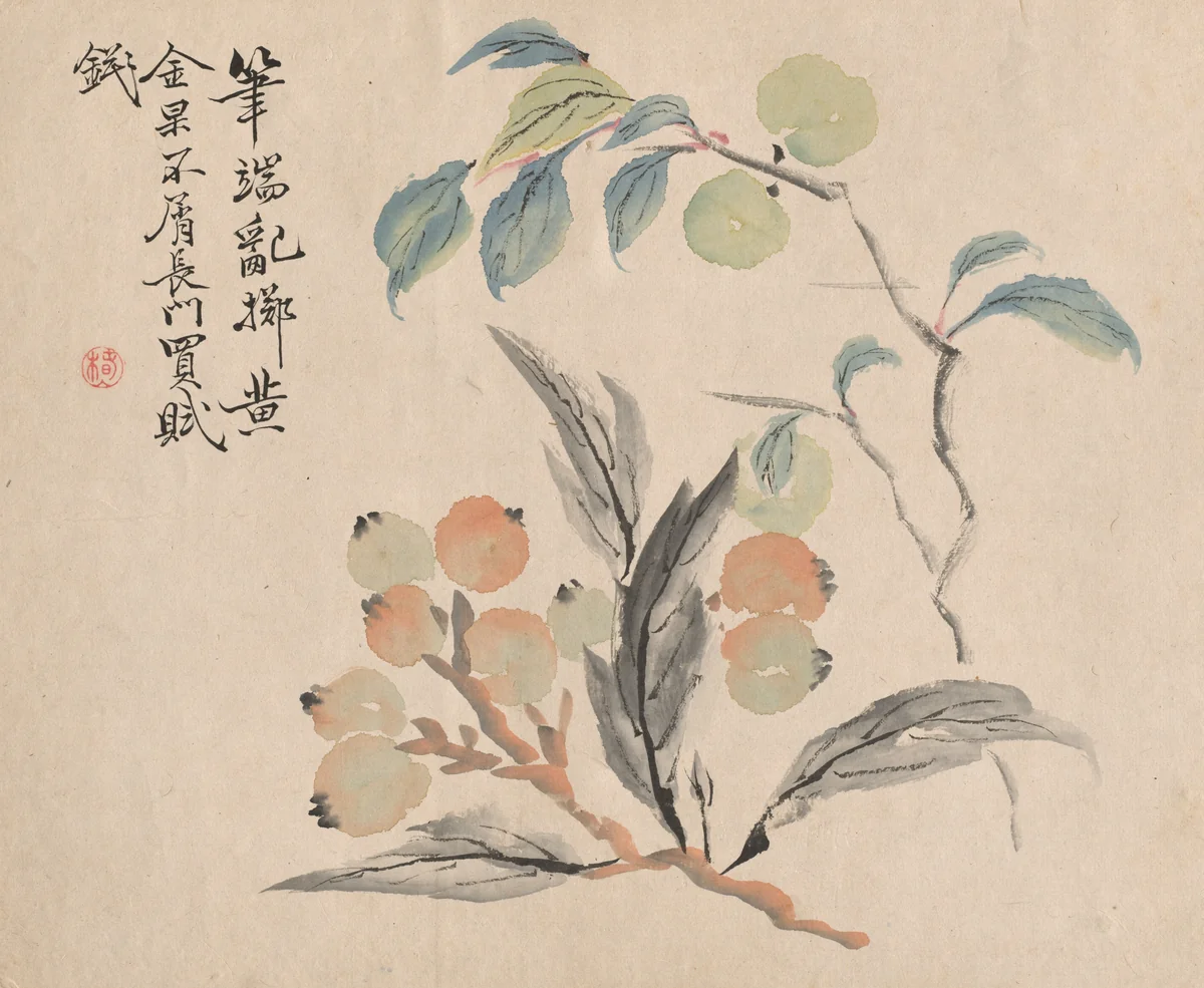 Loquat Tree of Japan by Tsubaki Chinzan (椿椿山), drawing, 1845-1854