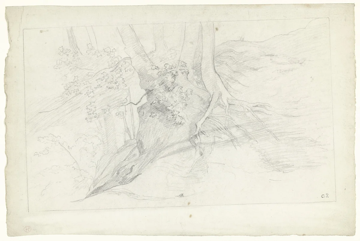 Boomgroep met wortels boven de grond by Camille Pissarro, drawing, 1840-1903