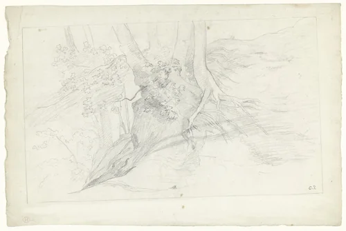 Boomgroep met wortels boven de grond by Camille Pissarro, drawing, 1840-1903