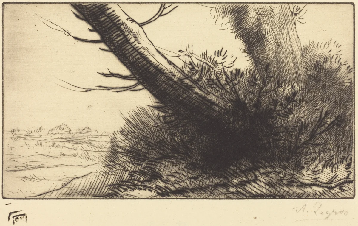 Corner of a Path (Au coin d'un chemin) by Alphonse Legros, print, 1837-1911