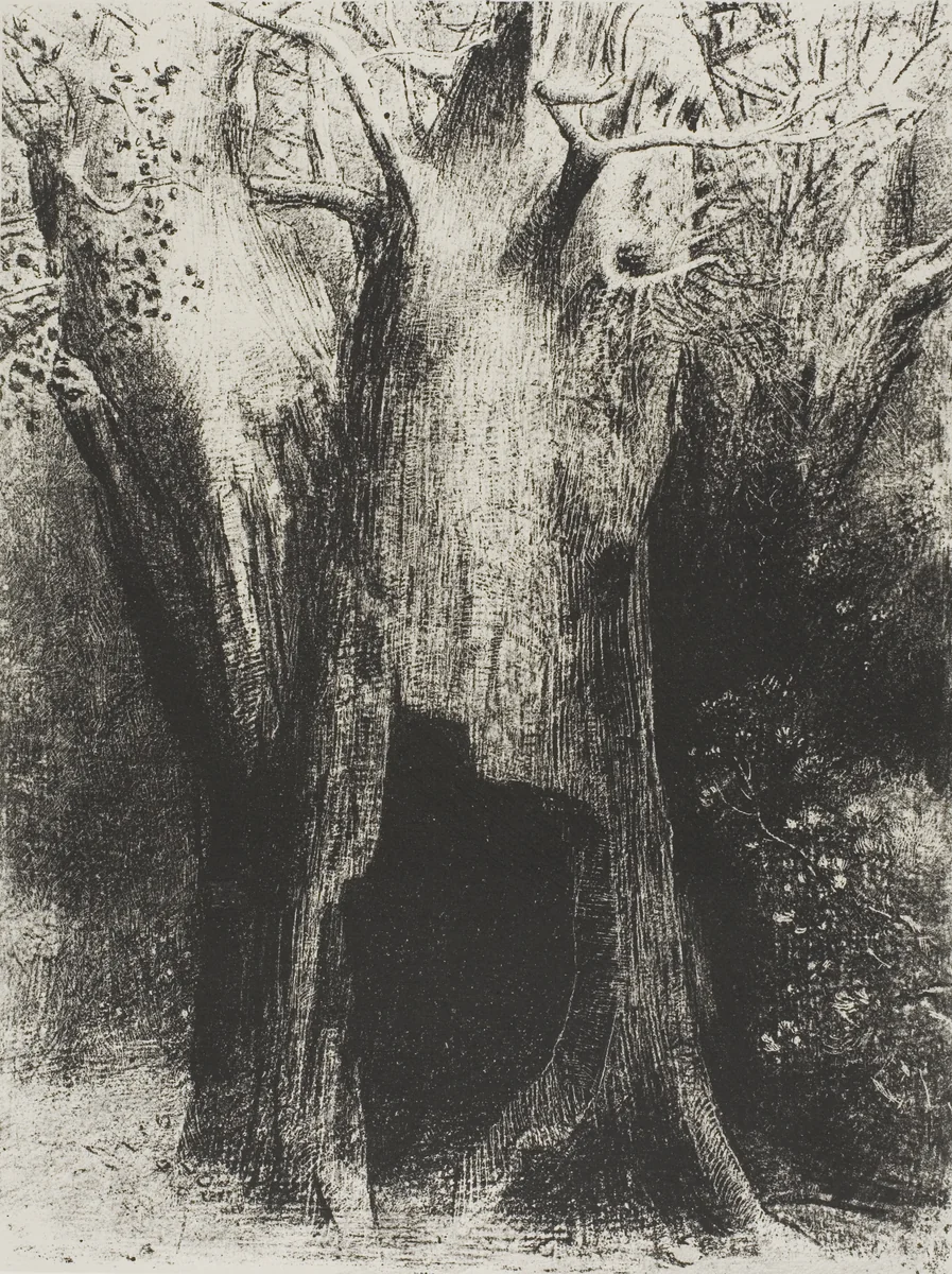 I Plunged into Solitude. I Dwelt in the Tree behind Me, plate 9 of 24 by Odilon Redon, print, 1896