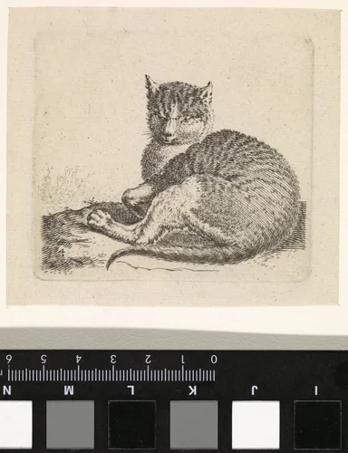 Liggende poes by Cornelis Saftleven, print, 1617-1681