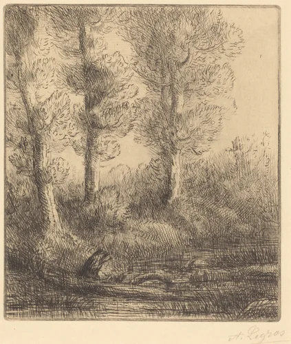 Banks of the Saint-Pre (Rive du Saint-Pre) by Alphonse Legros, print, 1837-1911