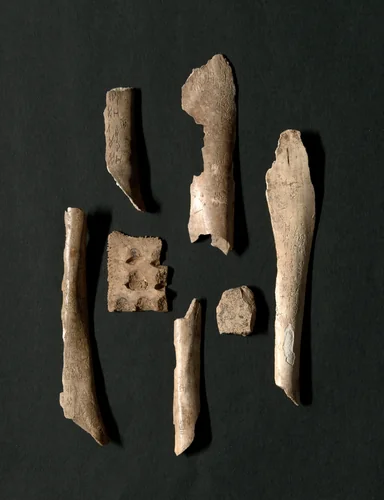 Oracle Bones (76 total) by China, other, -13--11