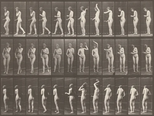 Plate Number 426. Toilet, brushing hair and walking off by Eadweard Muybridge, photograph, 1887