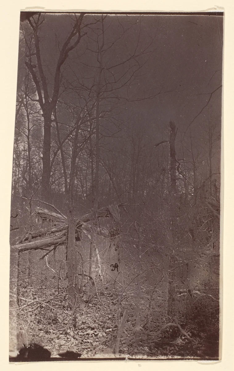 [The Wilderness Battlefield] by G. O. Brown, photograph, 1866