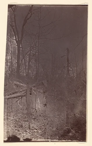 [The Wilderness Battlefield] by G. O. Brown, photograph, 1866