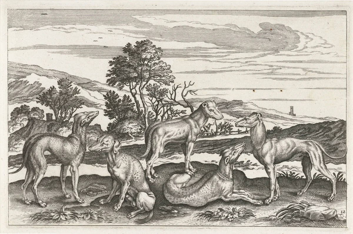 Jachthonden by anonymous, print, 1628-1679