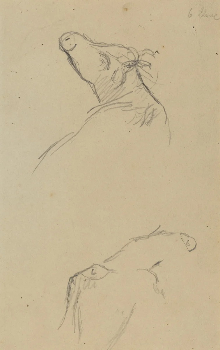 Two Cow's Heads [verso] by Paul Gauguin, drawing, 1884-1888