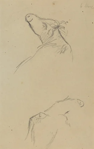 Two Cow's Heads [verso] by Paul Gauguin, drawing, 1884-1888