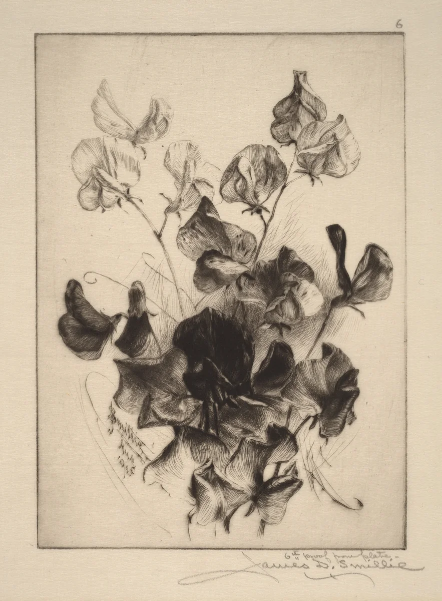 Sweet Peas by James David Smillie, print, 1891