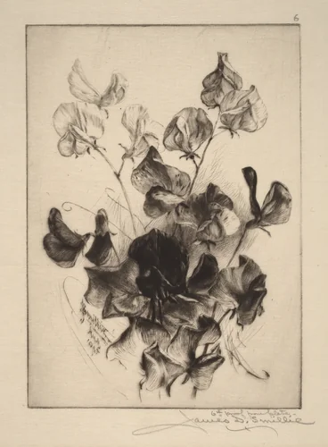 Sweet Peas by James David Smillie, print, 1891