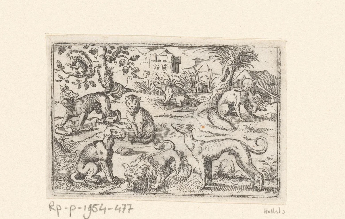 Drie honden, een wolf, een kat, een vos, een eekhoorn en een bever by Stephan Herman, print, 1578-1596