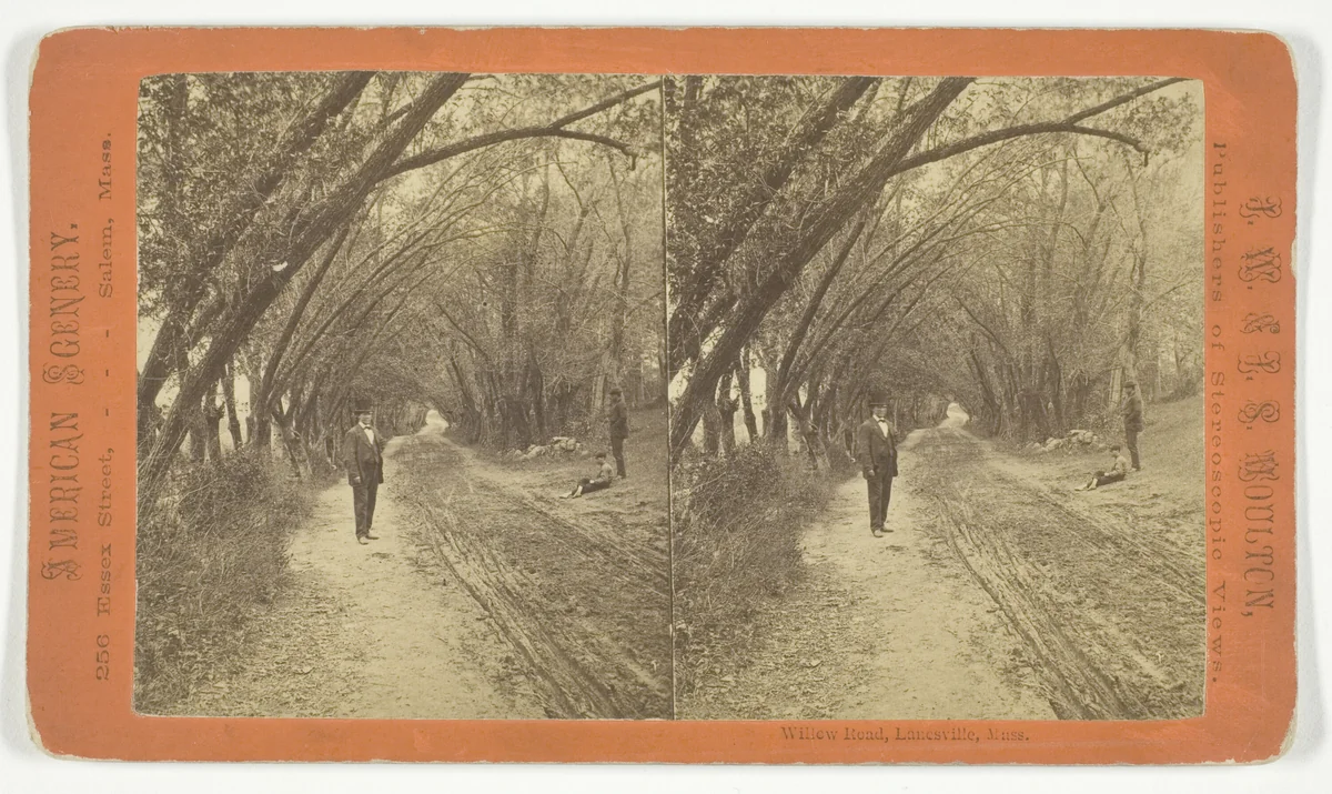 Willow Road, Lanesville, Mass. by J.W. & J.S. Moulton, photograph, 1873-1881