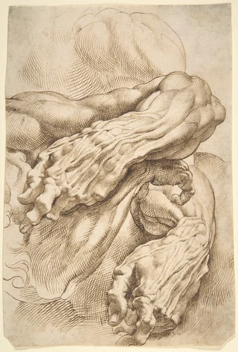 Anatomical Studies: a left forearm in two positions and a right forearm by Peter Paul Rubens, drawing, 1595-1605