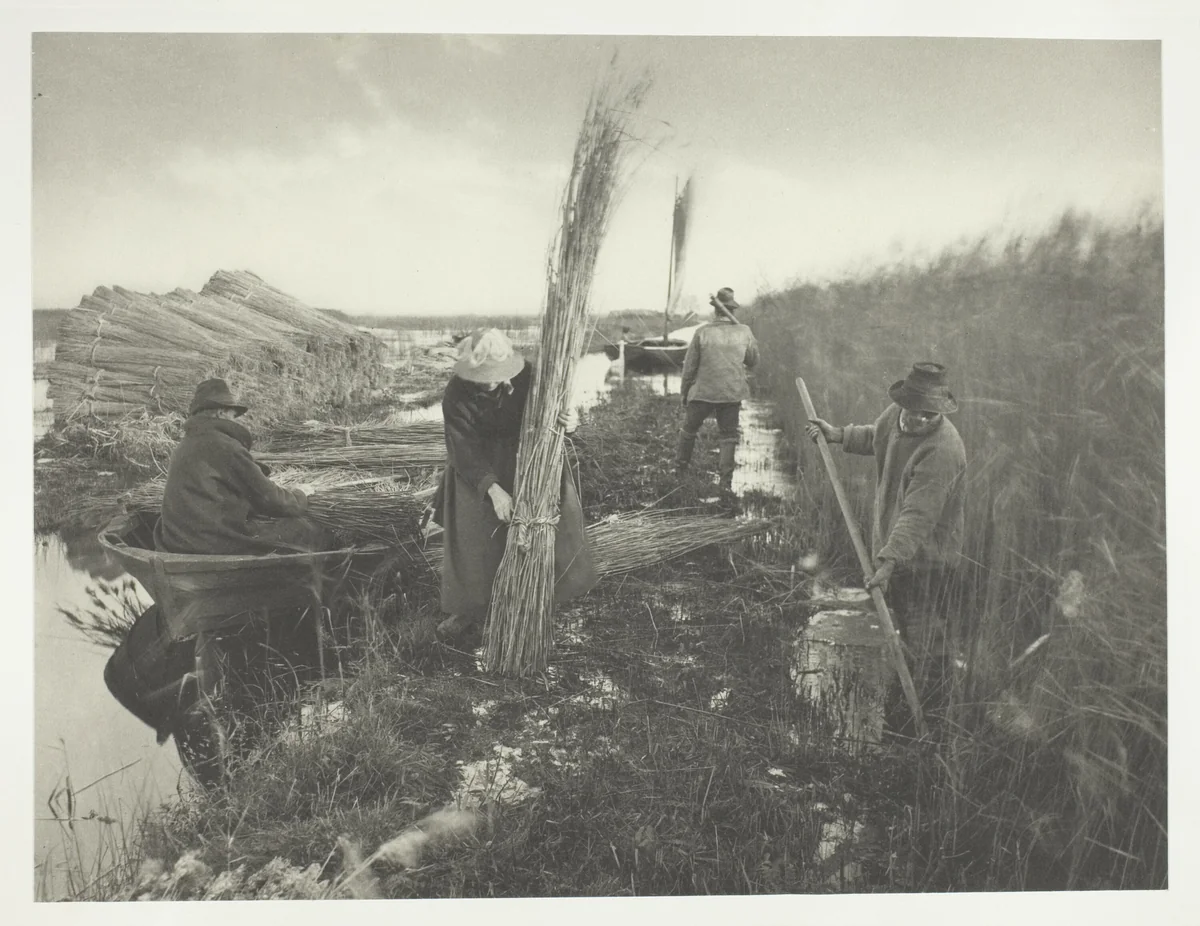 During the Reed Harvest by Peter Henry Emerson, photograph, 1886
