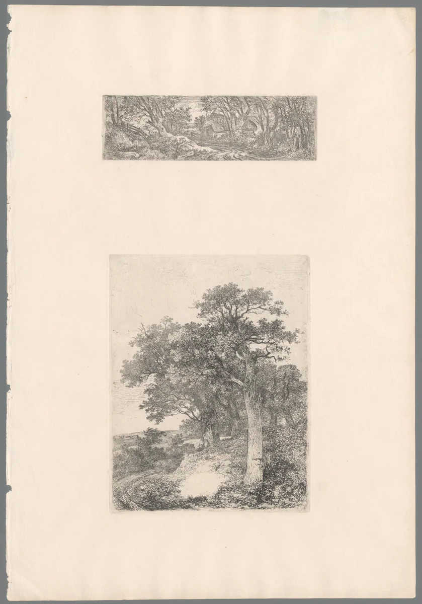 Pad tussen bomen richting een schuur by John Crome, print, 1834