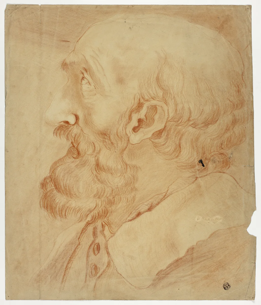 Head of Bearded Man in Profile by Unknown Artist, drawing, 1800-1899