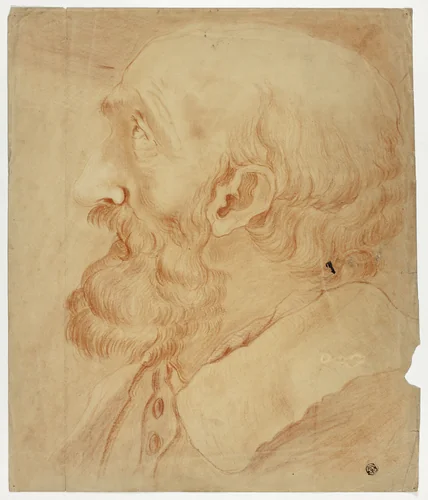 Head of Bearded Man in Profile by Unknown Artist, drawing, 1800-1899