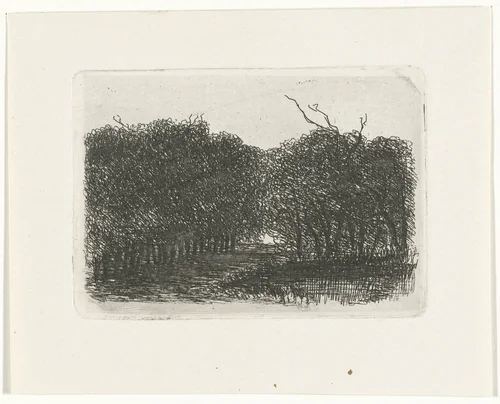 Bosgezicht by Joseph Hartogensis, print, 1837-1865