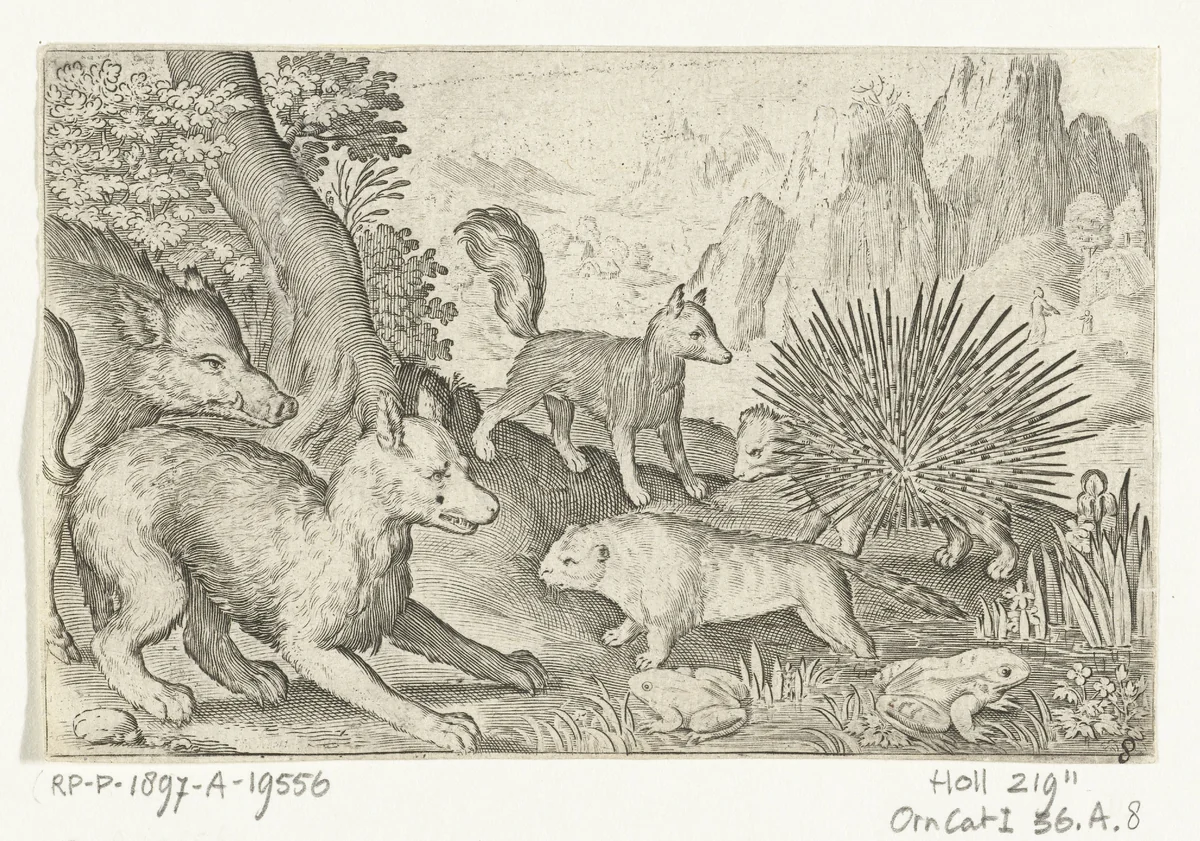 Wild zwijn, vossen, bever, stekelvarken en kikkers by Nicolaes de Bruyn, print, 1594