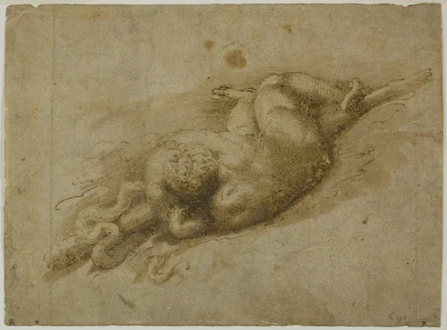 Infant Hercules (recto); Standing Putto with Hand to Chin (verso) by Francesco Mazzola, drawing, 1523-1540