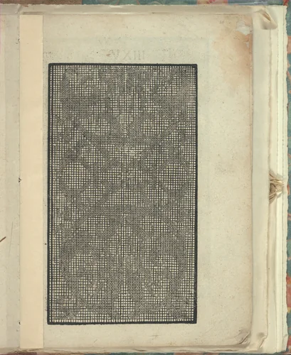 Opera Nova Universali intitulata Corona di racammi, page 20 (recto) by Giovanni Andrea Vavassore, book, 1530