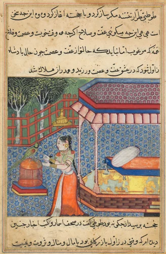 The parrot addresses Khujasta at the beginning of the thirty-sixth night, from a Tuti-nama (Tales of a Parrot) by Unknown, painting, 1555-1565