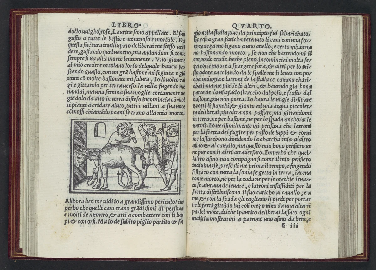Apulegio volgare, diuiso in undeci libri, novamente stampato & in molti lochi aggiontoui che nella prima impressione gli manchaua, & de molte più figure adornato by Lucius Madaurensis Apuleius, book, 1519