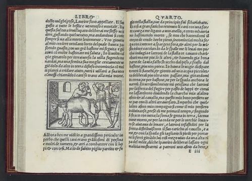 Apulegio volgare, diuiso in undeci libri, novamente stampato & in molti lochi aggiontoui che nella prima impressione gli manchaua, & de molte più figure adornato by Lucius Madaurensis Apuleius, book, 1519