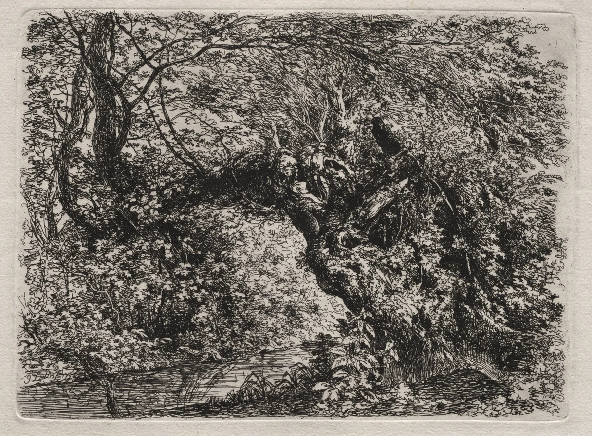 The Old Willow at a Brook by Georg von Dillis, print, 1794