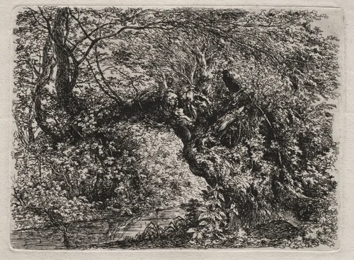 The Old Willow at a Brook by Georg von Dillis, print, 1794