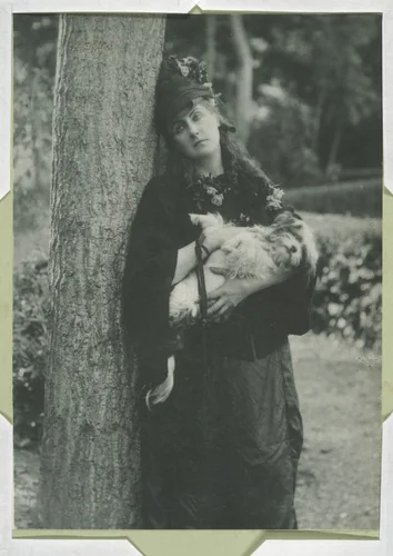 Les Chiens by Pierre-Louis Pierson, photograph, 1860-1869