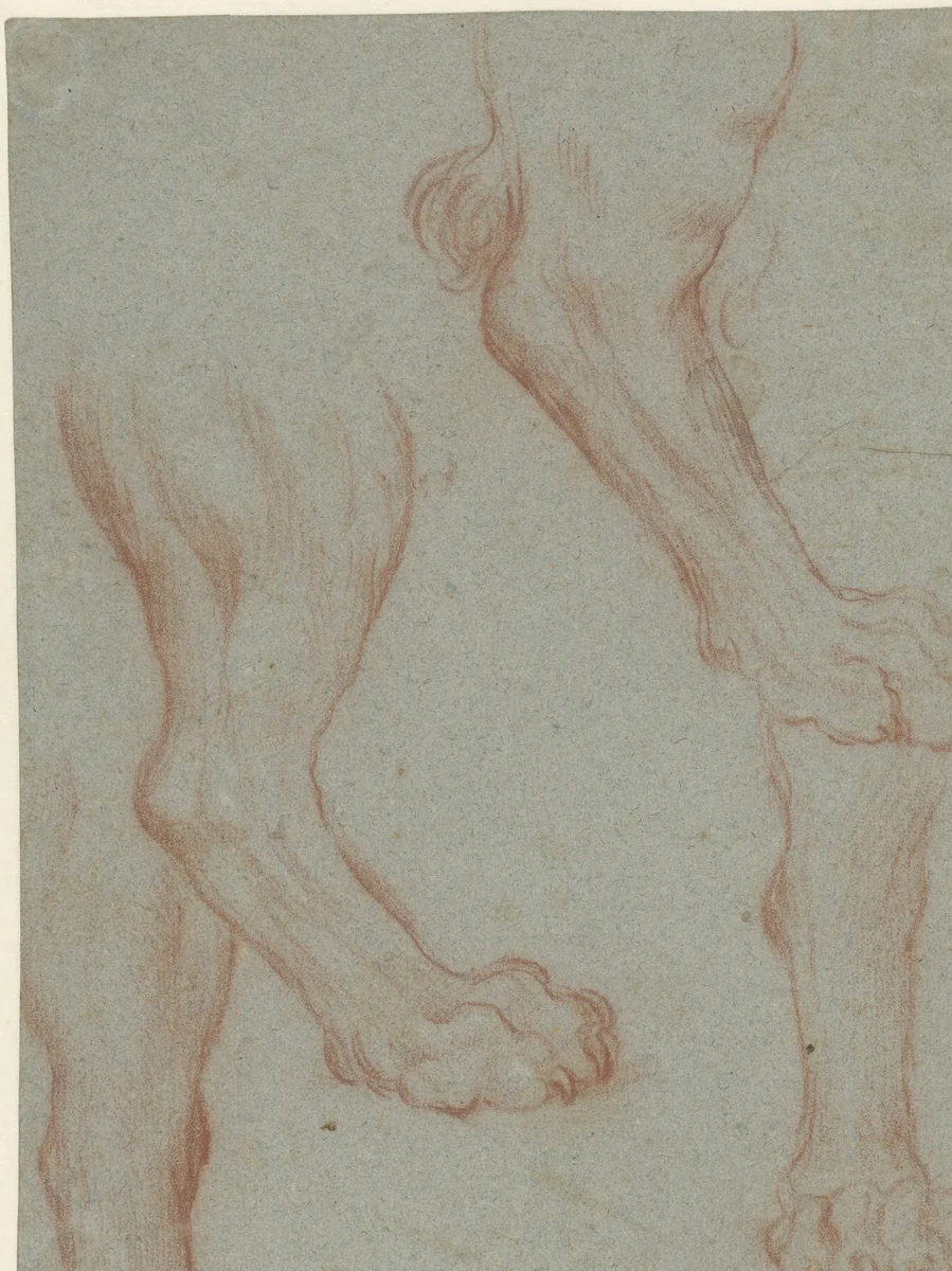 Studieblad met twee leeuwenpoten by Leandro Bassano, drawing, 1567-1622
