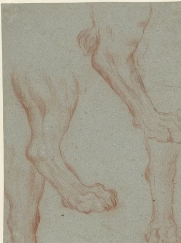 Studieblad met twee leeuwenpoten by Leandro Bassano, drawing, 1567-1622