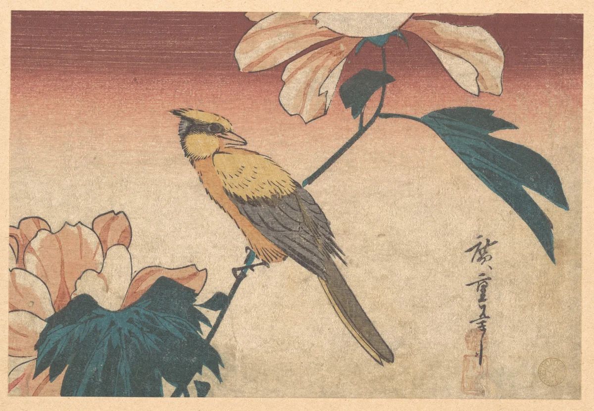 Hibiscus Mutabilis and Jay by Utagawa Hiroshige (歌川広重), print, 1830-1850