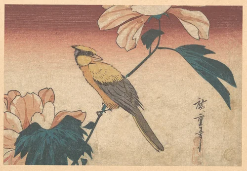 Hibiscus Mutabilis and Jay by Utagawa Hiroshige (歌川広重), print, 1830-1850
