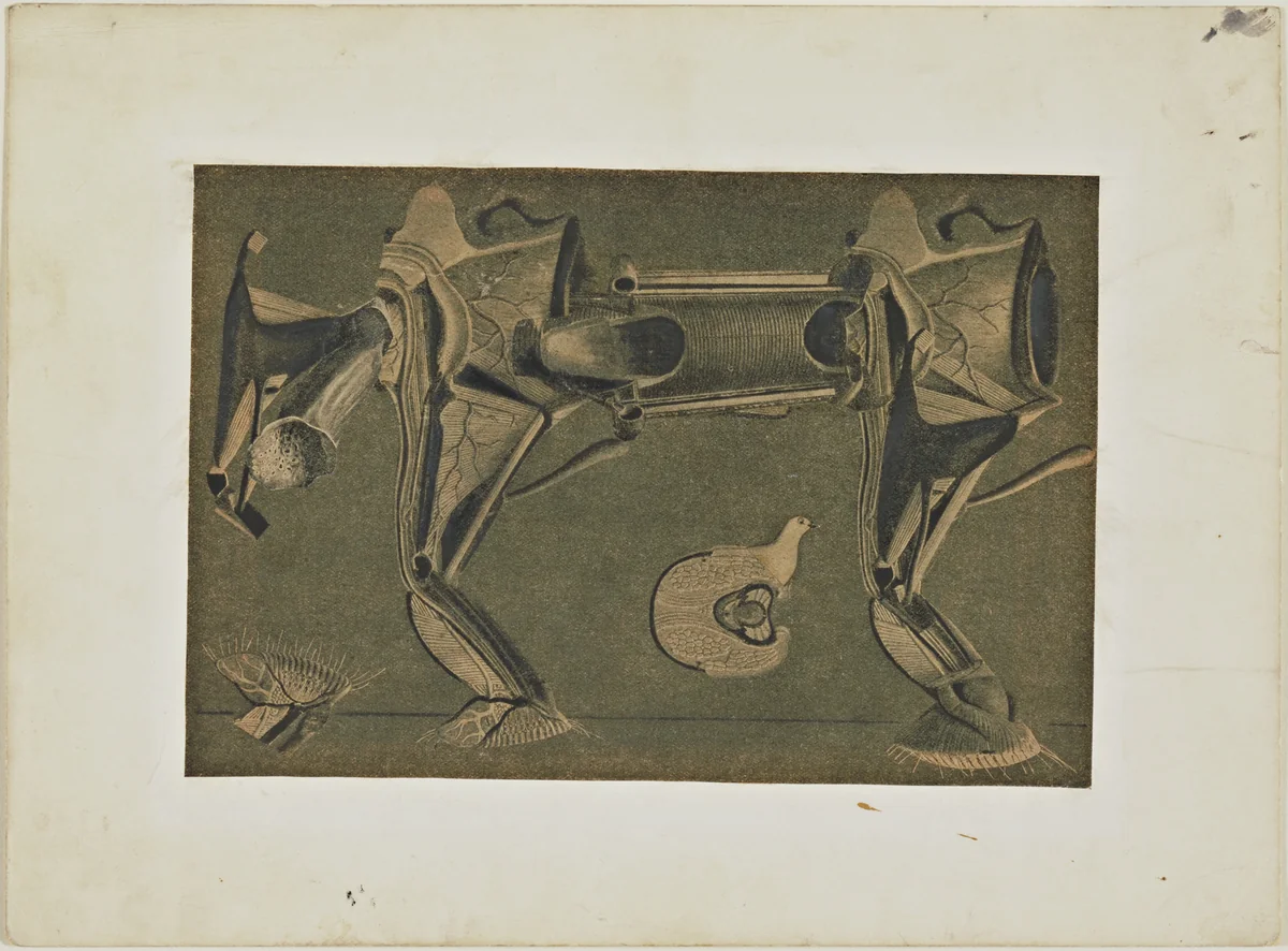 The Horse He's Sick (Un Peu malade le cheval) by Max Ernst, drawing, 1920
