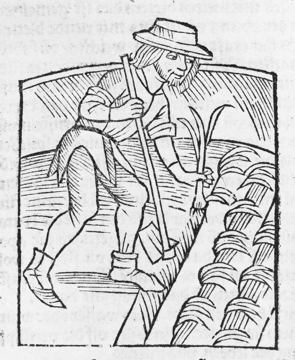 II) Der Ritter vom Turm, von den exenplen der Gotzfurcht und erberkeit. by Michael Furter, book, 1499-1513