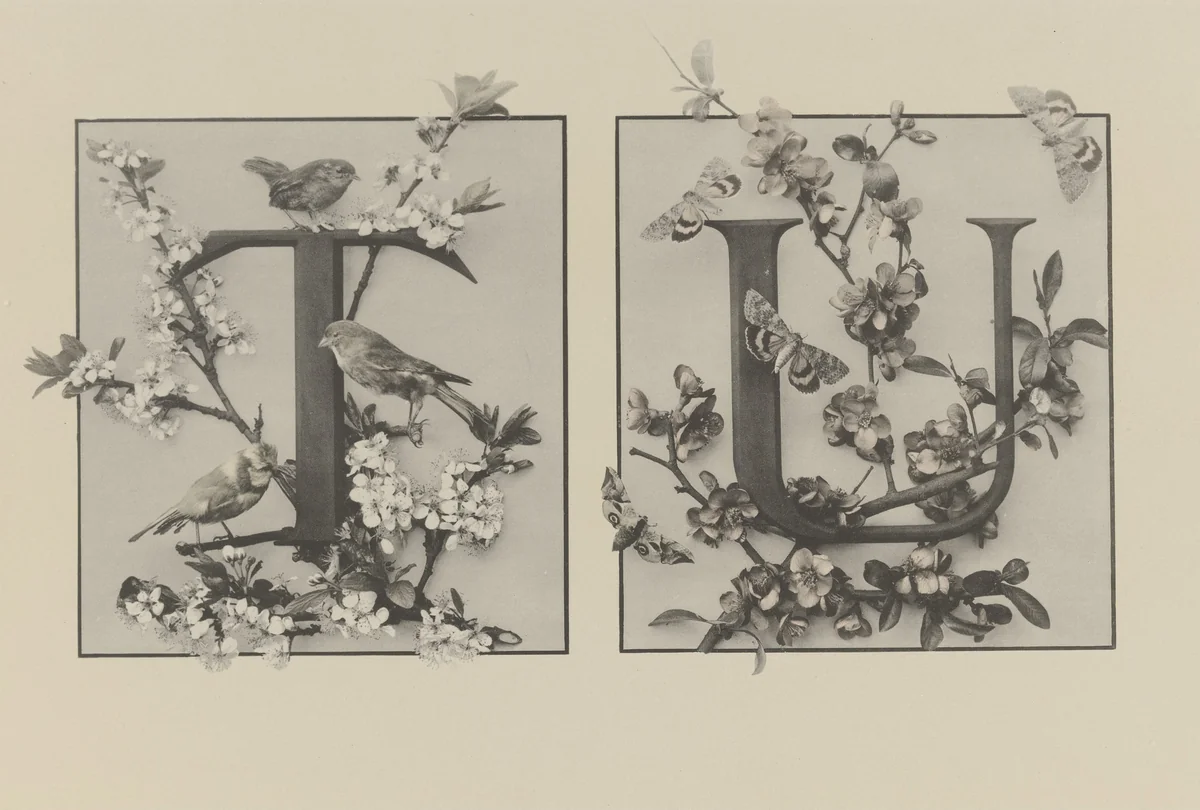 Page from Festons und Dekorative Gruppen by Unidentified Photographer, photograph, 1893