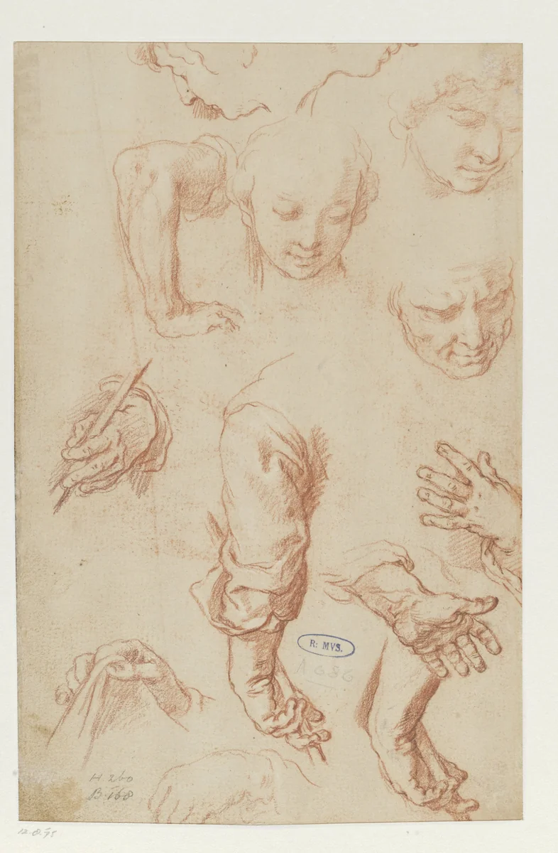 Studies of Arms, Hands and Heads by Abraham Bloemaert, drawing, 1574-1651