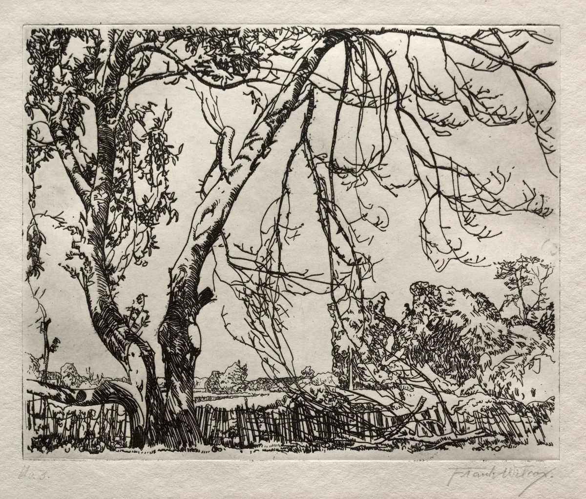 Apple Tree by Frank Wilcox, print