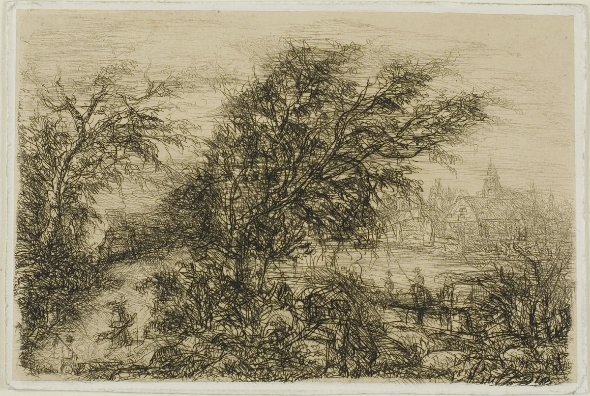 Trees Bending in the Wind by Rodolphe Bresdin, print, 1845-1885