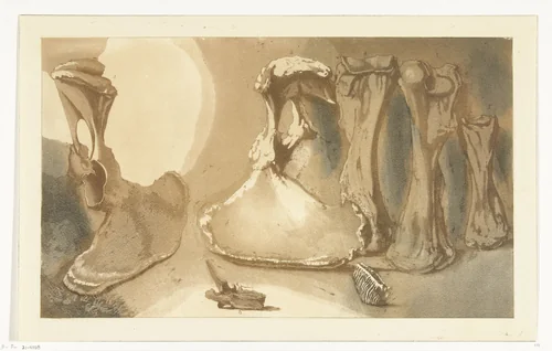 Aangespoelde beenderen by Anthonie van den Bos, print, 1809-1810
